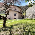 Incontro Siblings 8/9 Novembre 2025 presso Asso (CO)