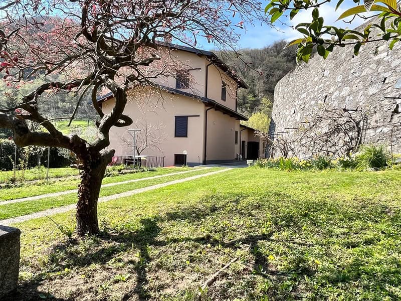 Incontro Siblings 8/9 Novembre 2025 presso Asso (CO)